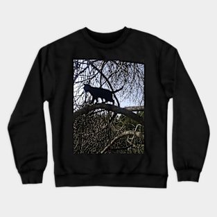 kitty in a tree Crewneck Sweatshirt